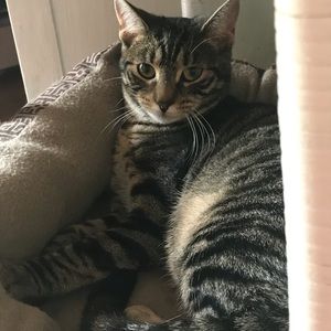 Meet your Posher, Jennifer